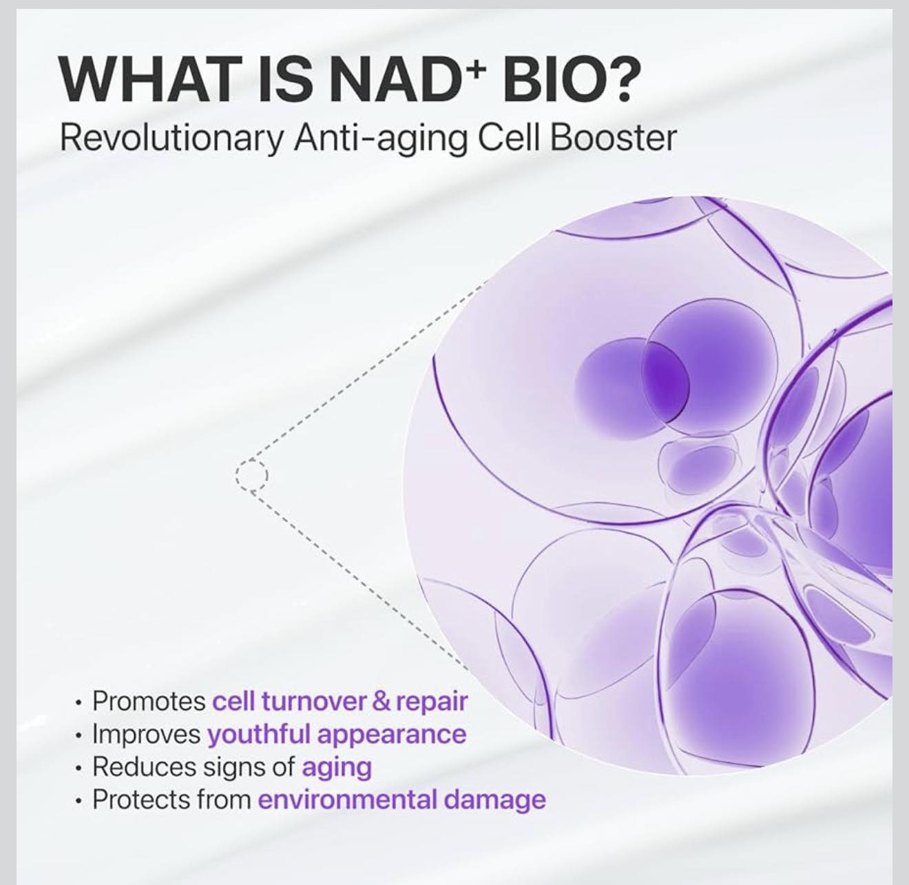 NUMBUZIN NO.9 NAD+ PEPTIDE LIFTING SERUM